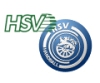 HSV Dresden – Radeberger SV  24:29 (15:12)